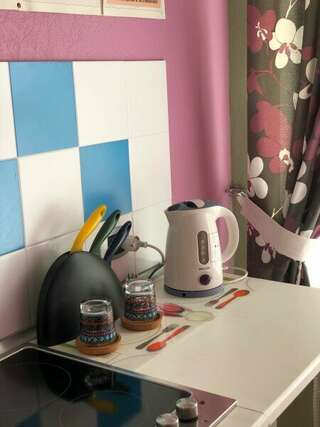 Апартаменты Пио Санкт-Петербург Двухместный номер с 1 кроватью-2